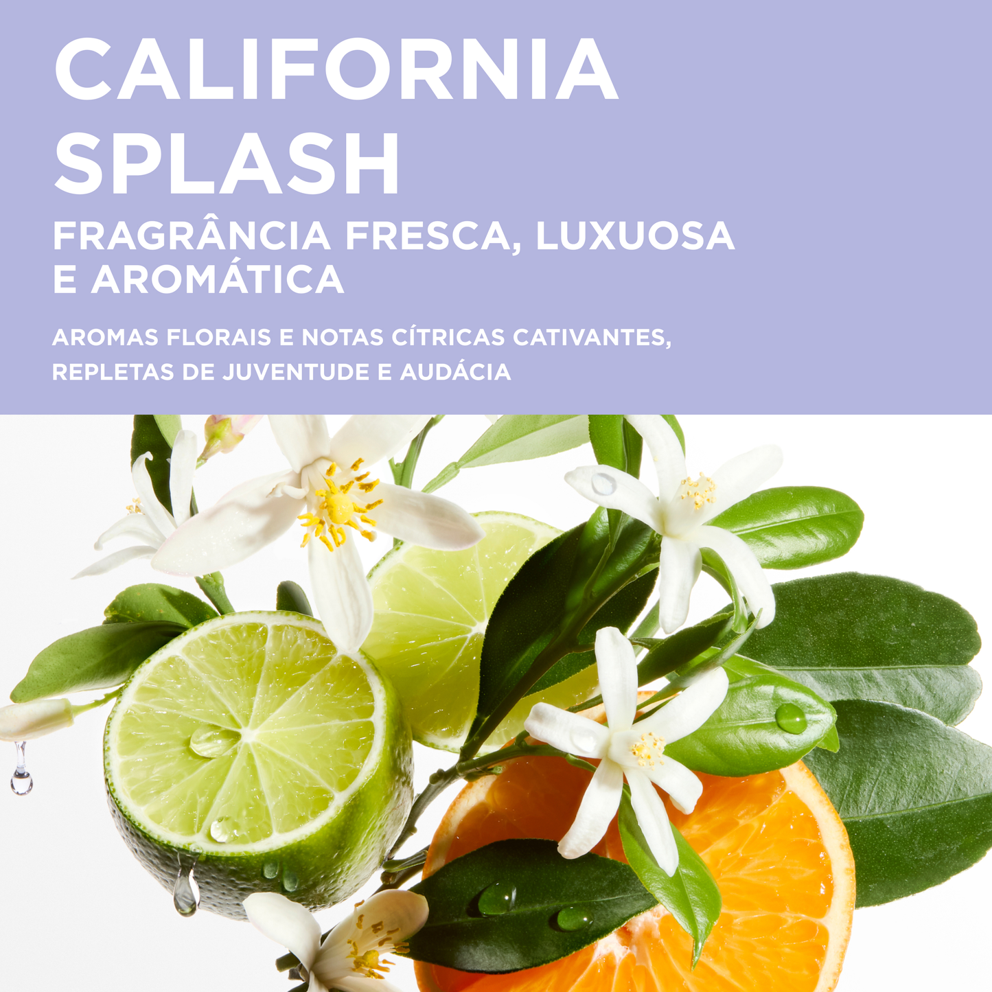 Kérastase Blond Absolu Bain Ultra Violet